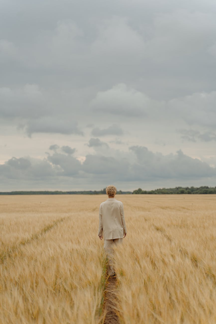 Stock photo of person wandering through amber waves of grain towards a distant vague horizon Pexels.com