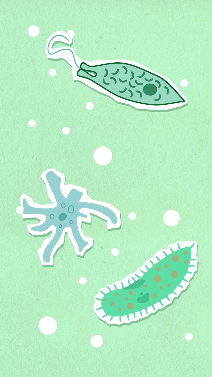 Stock illustration of single cell critters existing in limbo suspension from Pexels.com