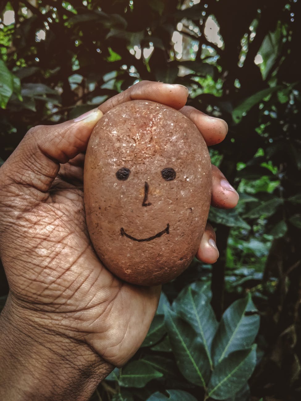 Stock photo of a hand holding a spud with a smiley face drawn on it over a foliage background from Pexels.com