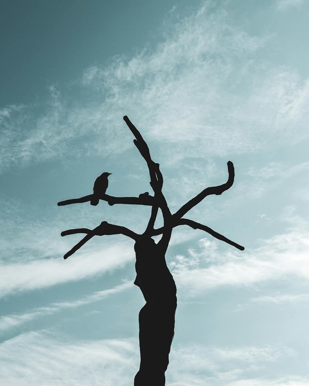Stock photo of a lone raven perched on a tree of twisted branches from Pexel.com