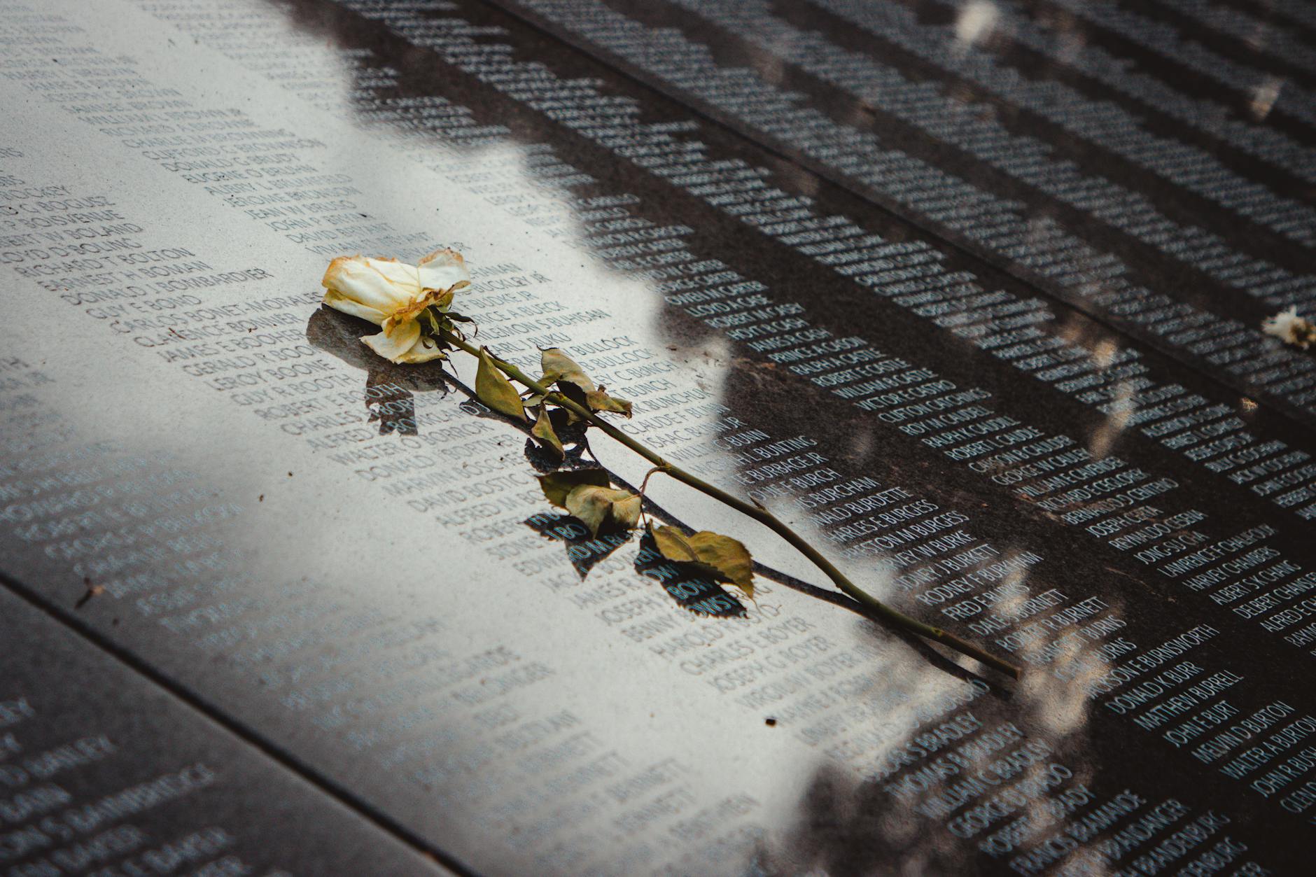 Stock photo of a wilted flower laid on a black slab with the names of the fallen etched into it from Pexels.com