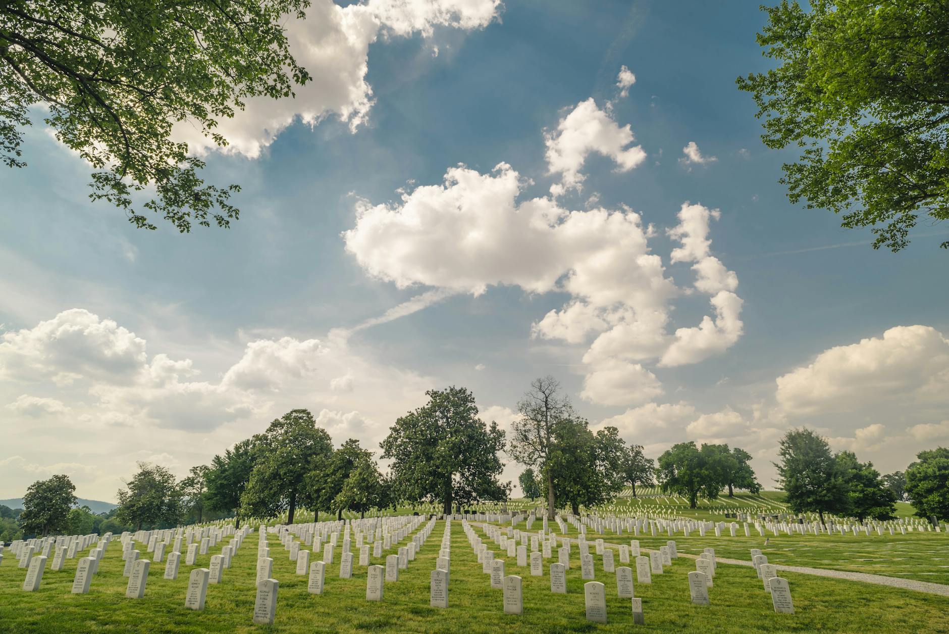 Stock photo of large expanse of headstones in rows from Pexels.com
