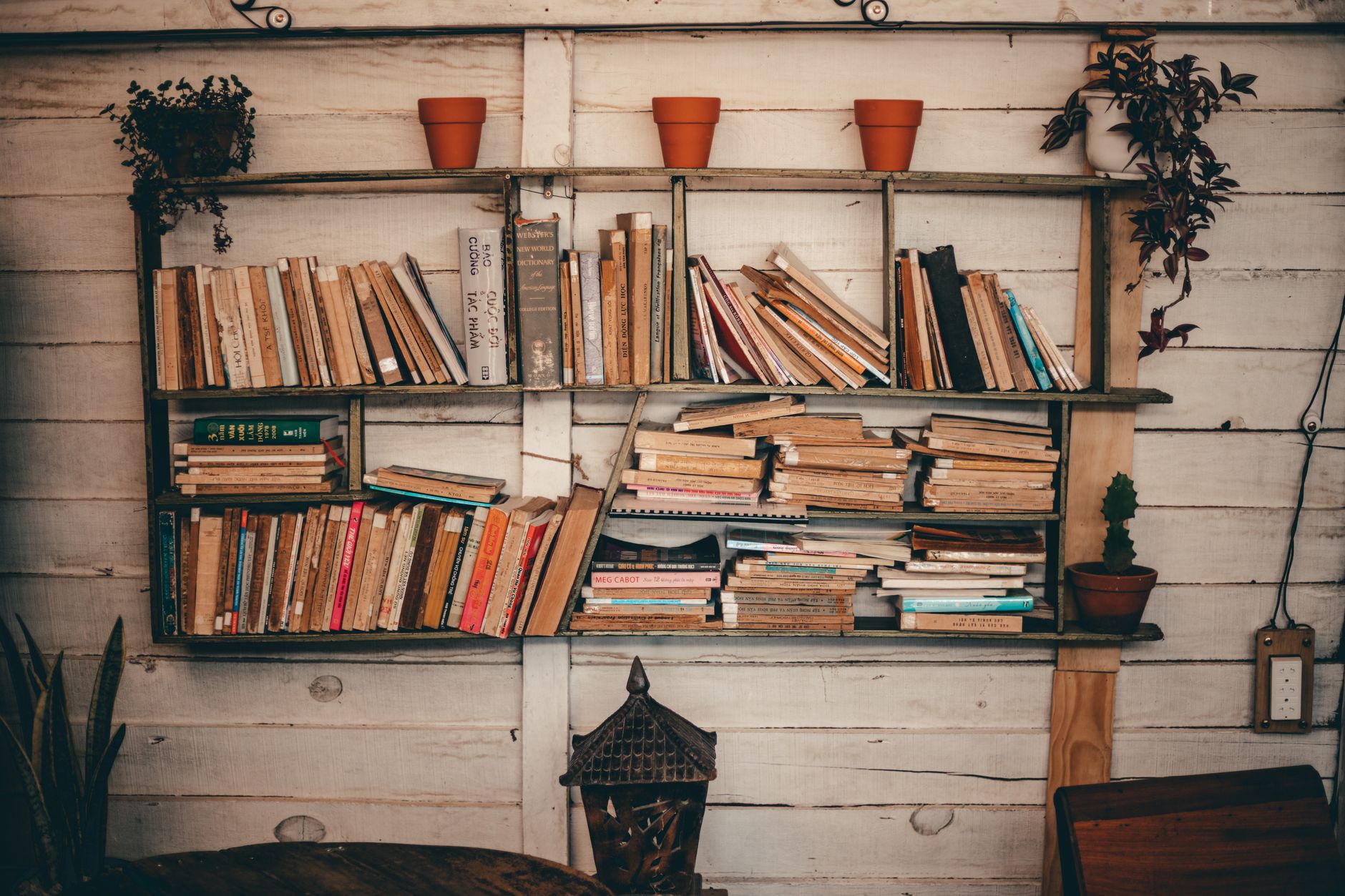 Stock photo of crooked shelves loaded with books and flower pots from Pexels.com 
