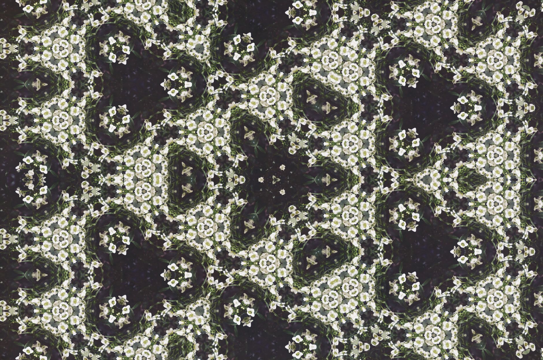 Stock photo of a symmetrical, repeating kaleidoscope or fractal-like pattern with dark and light green or gray floral or organic shapes from Pexels.com 