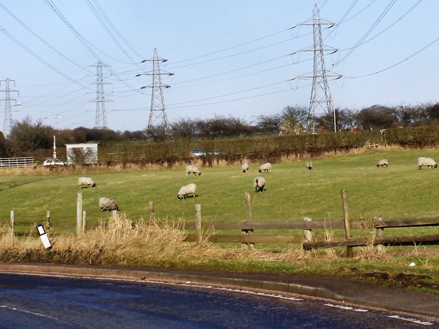 Stock photo shows a rural pastoral landscape with a flock of sheep grazing in a green field beneath large electrical transmission towers (pylons) and overhead power lines from Pexel.com