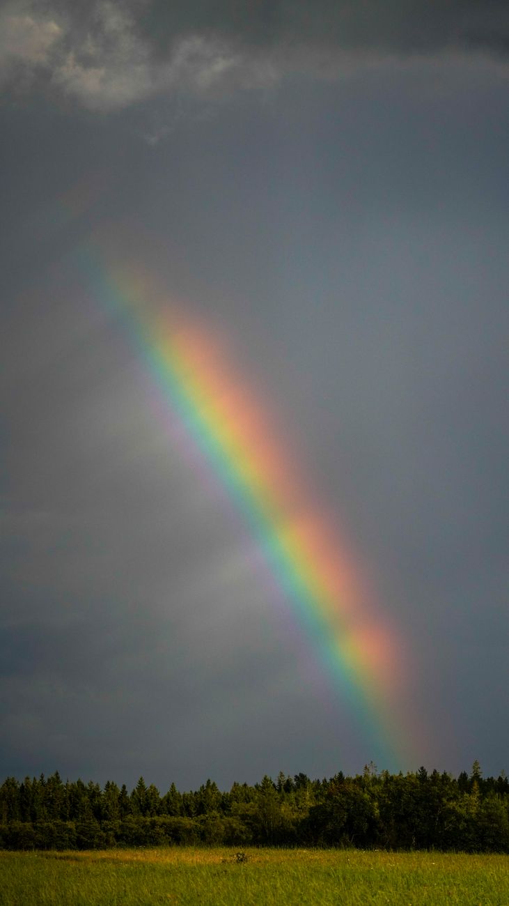 Stock photo of a colorful rainbow arching across a dark, cloudy sky above a field and a line of trees from Pexels.com