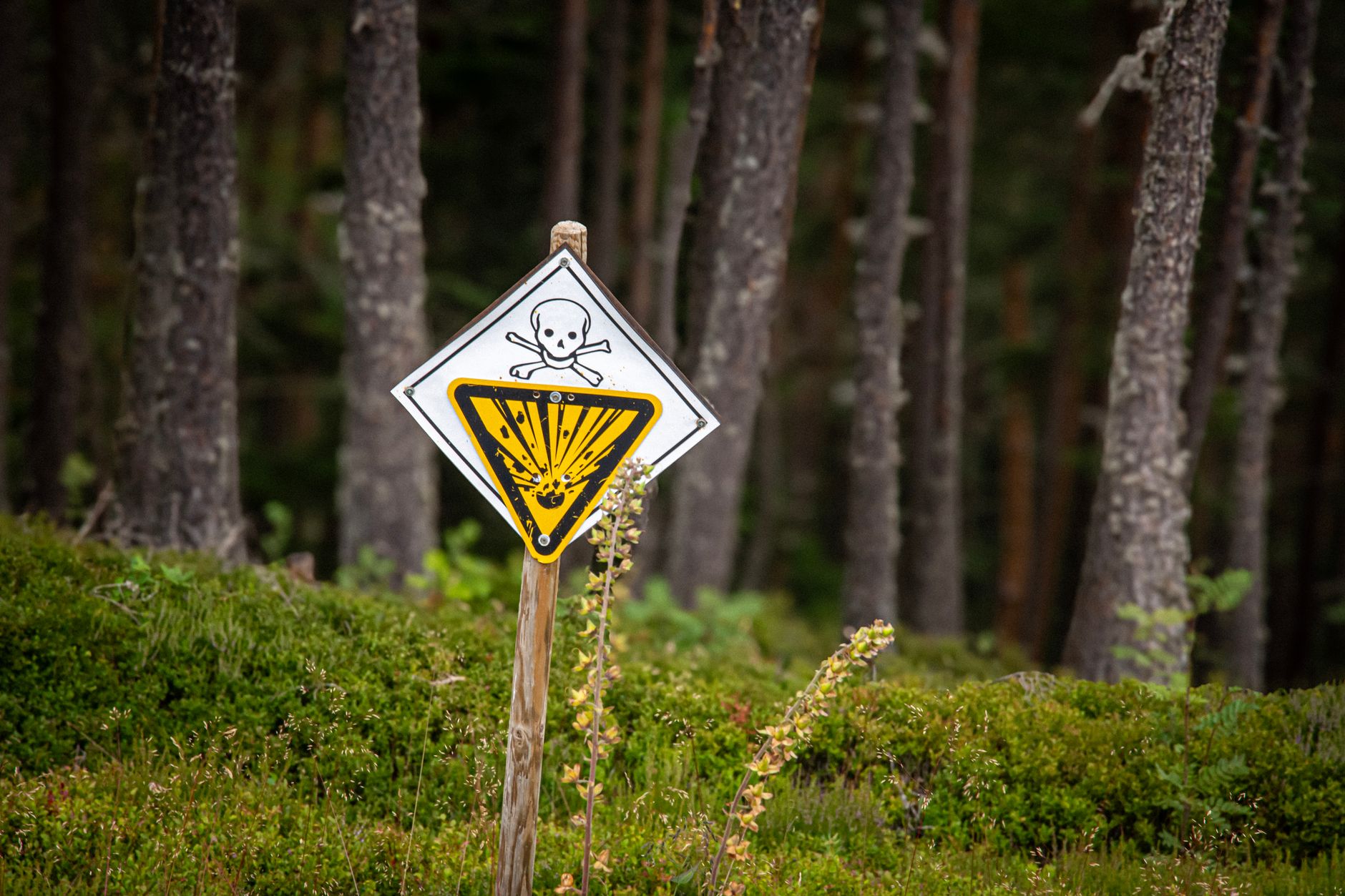 Stock photo of a hazard warning sign on the edge of a wooded area featuring a skull and crossbones above an explosion or detonating material symbol.from Pexels.com