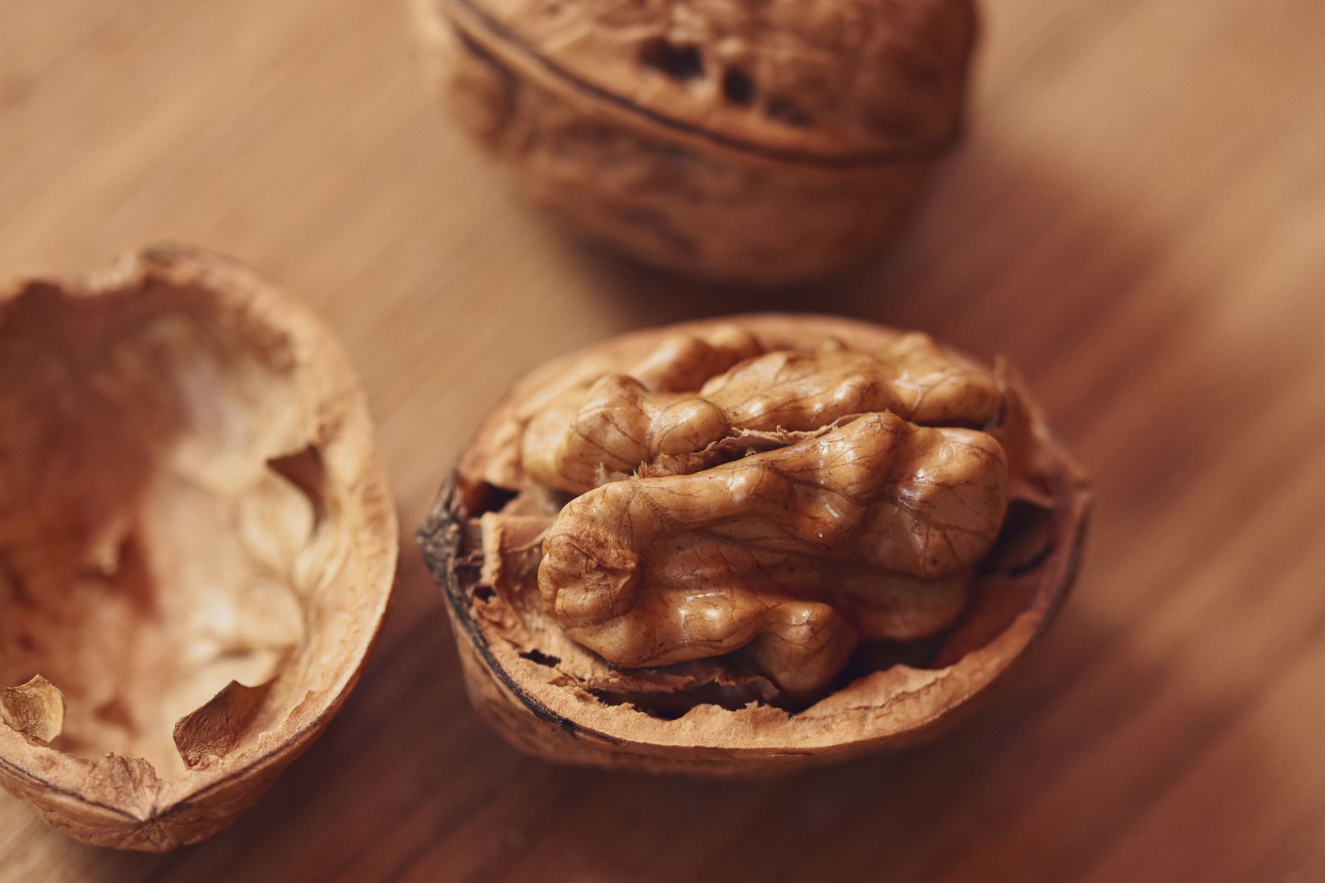 Stock photo of an edible walnut kernel (nut meat) resting inside a cracked, woody half-shell from Pexels.com