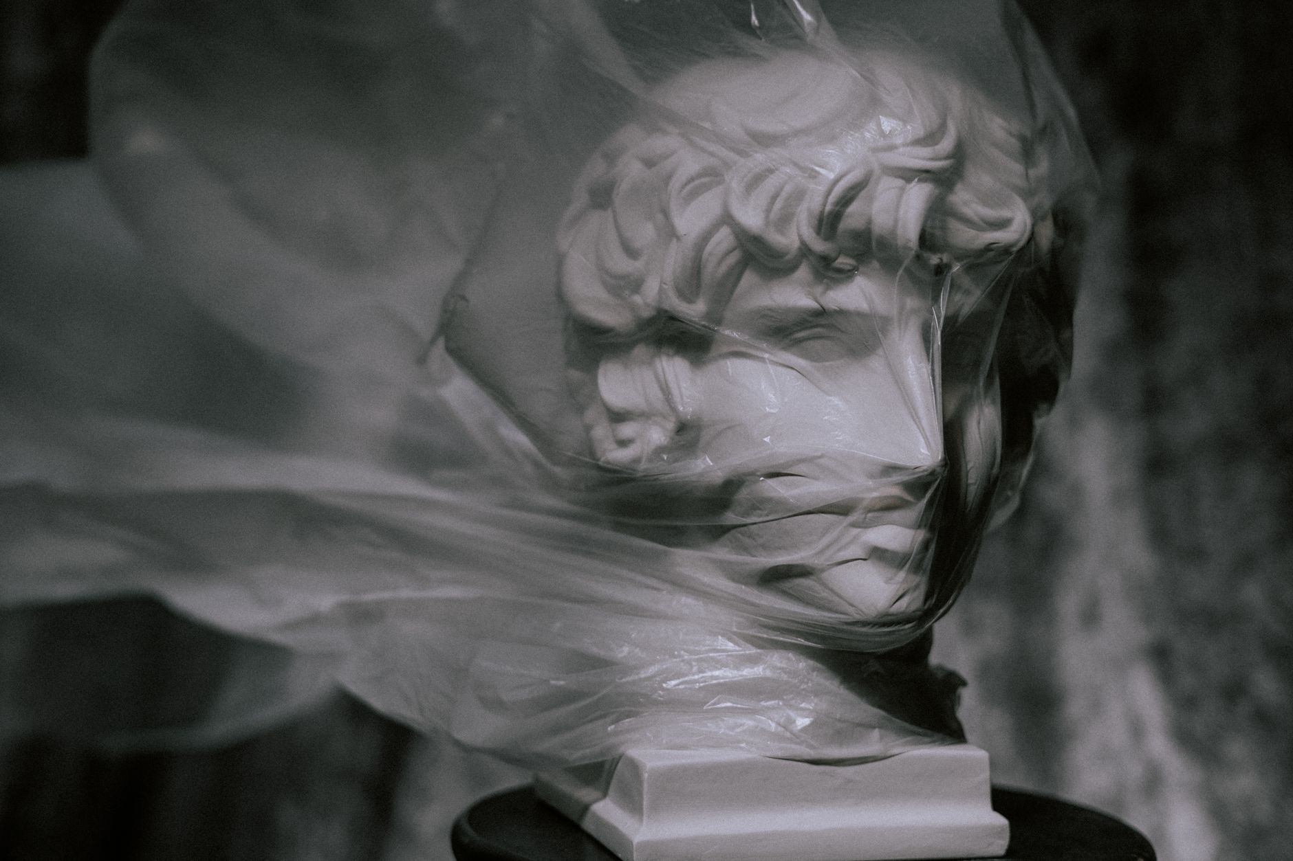 Stock photo of a classic white head sculpture wrapped in a clear plastic bag from Pexels.com 