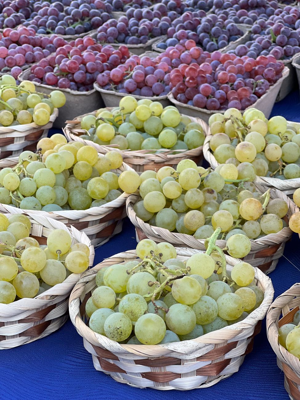 Stock image shows fresh green and red table grapes arranged in baskets from Pexels.com