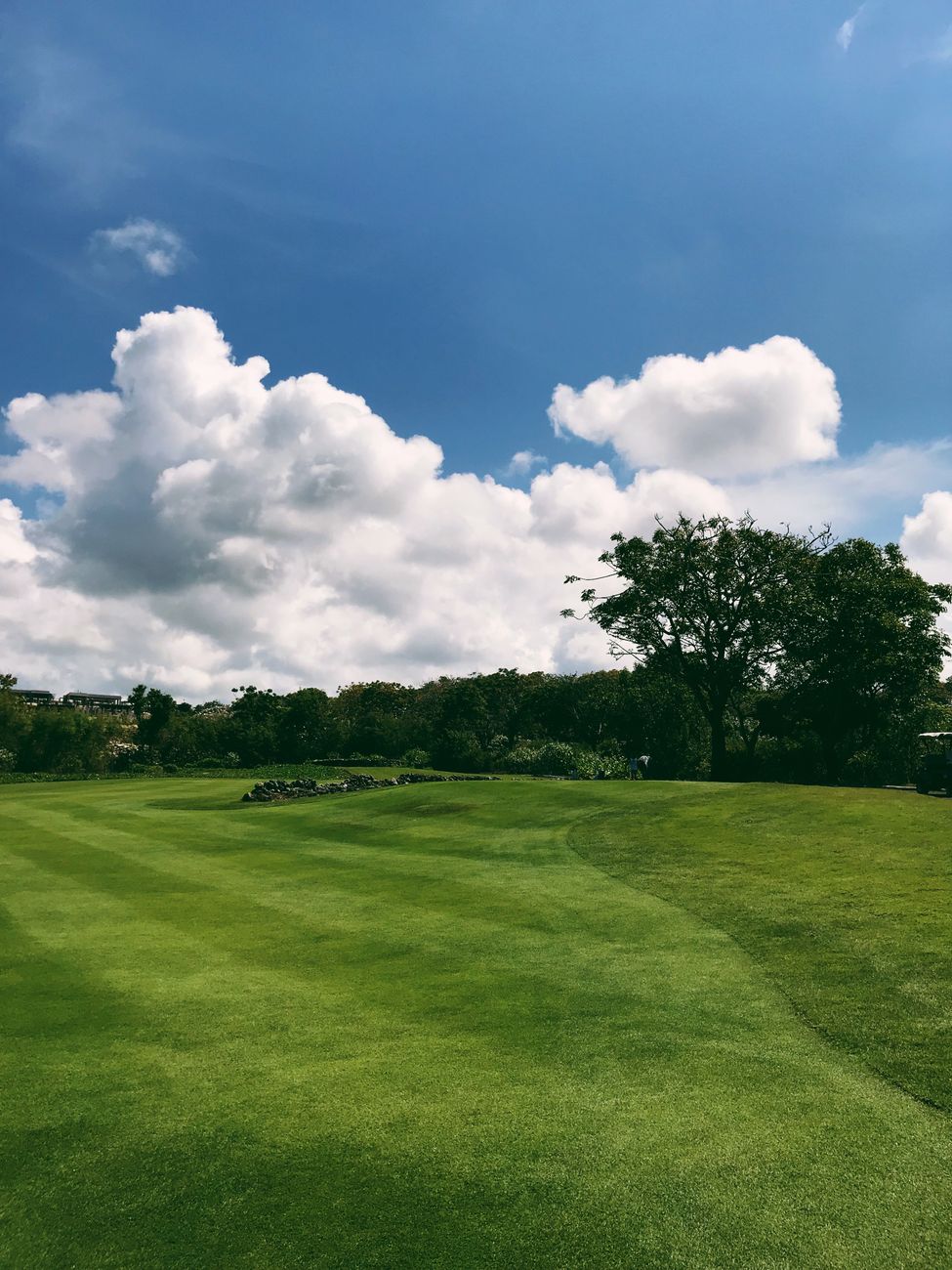 Stock image shows a vibrant, manicured green grass lawn under a blue sky with fluffy white clouds and distant trees from Pexels.com